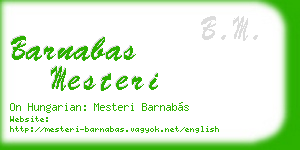 barnabas mesteri business card